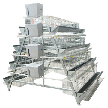 Automatic Chicken Coop Door - Professional Supplier for Chicken Breeding Cage/Egg Laying Hen Cage for Sale