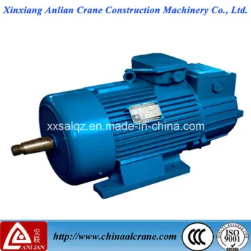 The Well Tested Electric Asynchronous Three Phase Motor