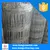 Hot Dipped Galvanized Cattle Fence/Field Fence/Gr