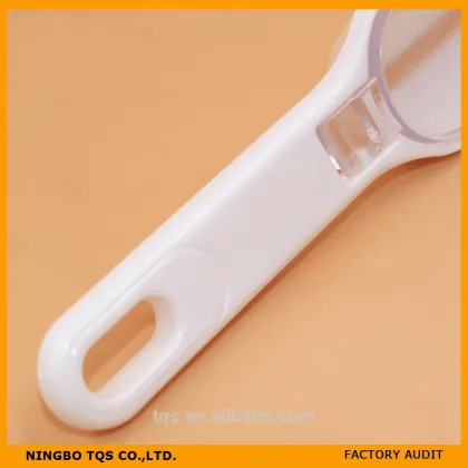 Creative Kitchen Products Easy Fish Scaler/ Scaled fish