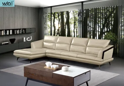 European Luxury Indoor Furniture Living Room Sofa