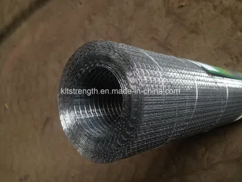Stainless Steel Wire Mesh