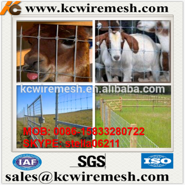 Factory!!!!! Here!!!! KangChen Horse paddock fence/farm grassland wire mesh fence Animal wire mesh fence