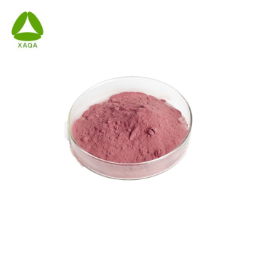 Organic Supplement Acerola Cherry Extract Vitamin C Powder