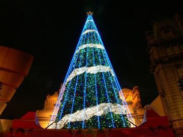 LED Christmas Tree Light/