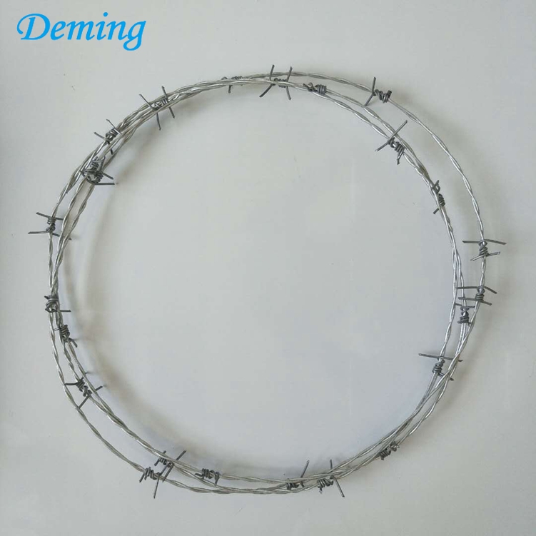 Direct Sale Hot Dip Galvanized Barbed Wire