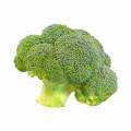 Best Broccoli Powder Supplement for Health