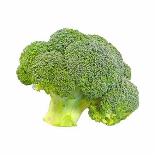 Best Broccoli Powder Supplement for Health