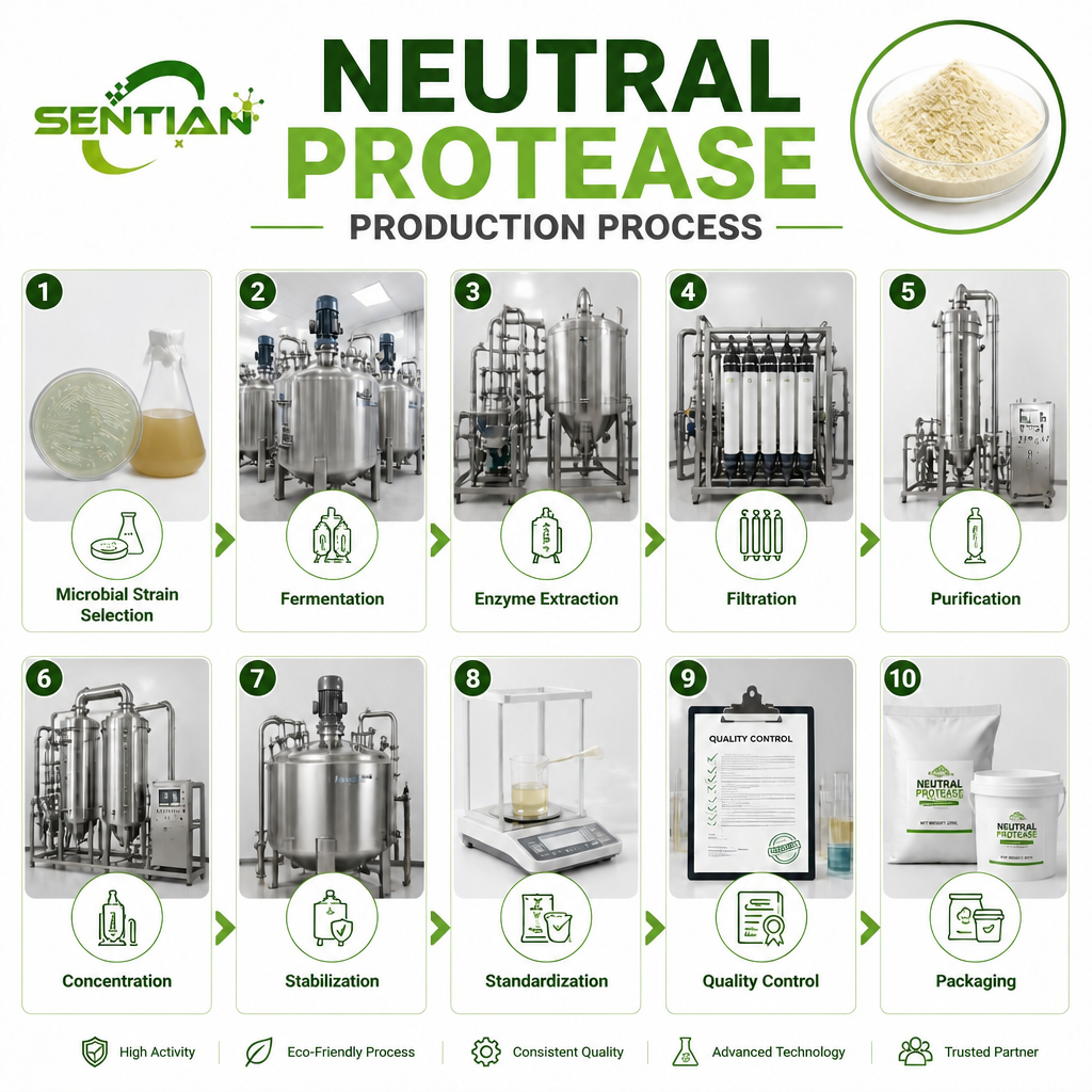 Neutral Protease1