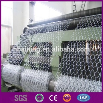 Double twist hexagonal wire mesh machine/(2x50m) hexagonal wire mesh manufacturer/tree guard hexagonal wire mesh