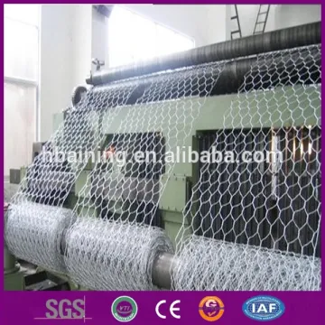 Double twist hexagonal wire mesh machine/(2x50m) hexagonal wire mesh manufacturer/tree guard hexagonal wire mesh