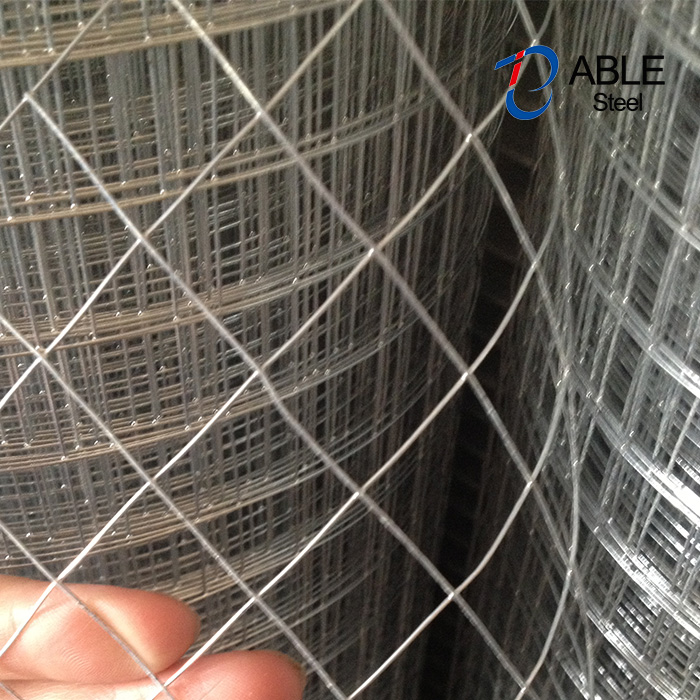 16 Guage Galvanized Iron Wire Mesh For Sale