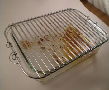 grill net