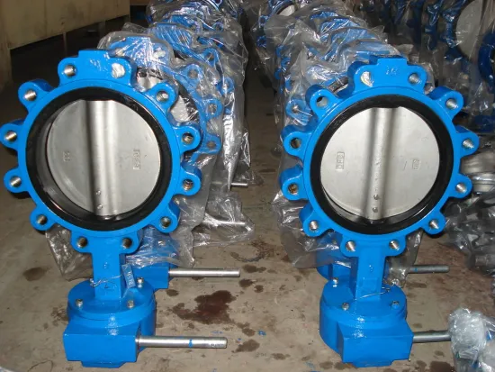 Sanitary Cast Iron Lug Wafer Butterfly Valve For Pipeline Api 609 / Iso 5752 / Bs 5155