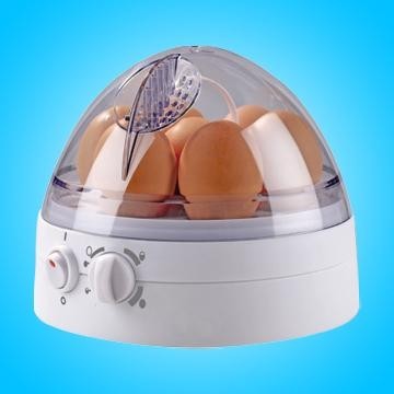 Egg Cooker with Adjustable Hardness Function