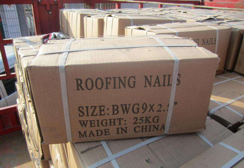 Large Round Head Smoothshank Sharp Roofing Coil Nail