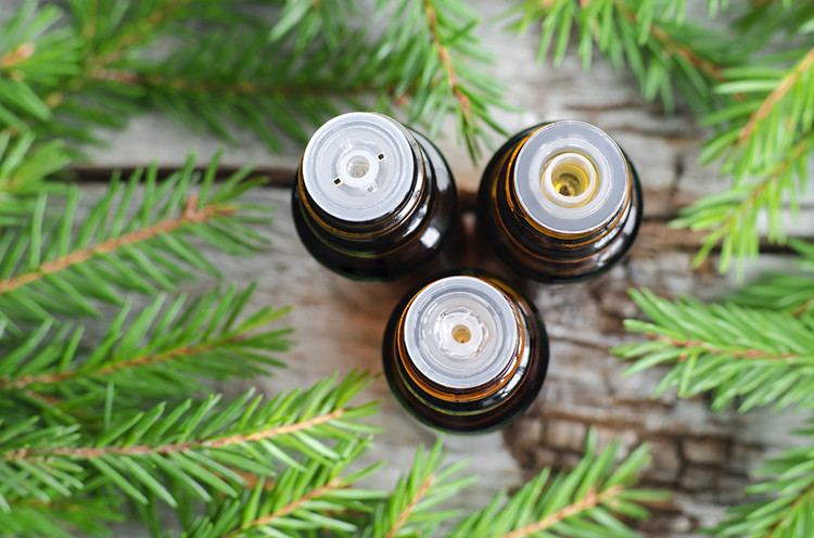 Pure natural Pine needle essential oil