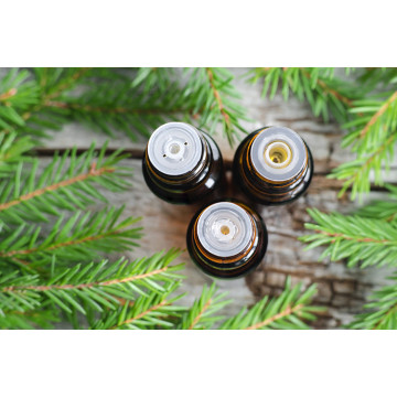 Pure natural Pine needle essential oil