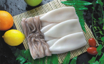 Tubos y tentáculos de calamar congelados de buena calidad