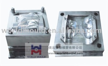 automobile plastic mould