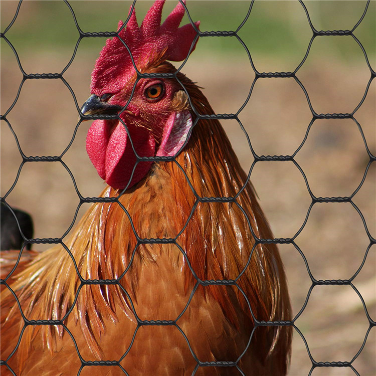 hexagonal wire netting chicken mesh in black