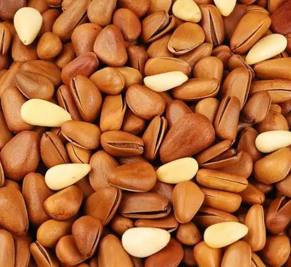 Pine Nut (2)