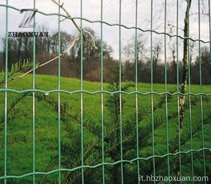 Recinzione in euro in maglia in mesh olandese rivestito in PVC