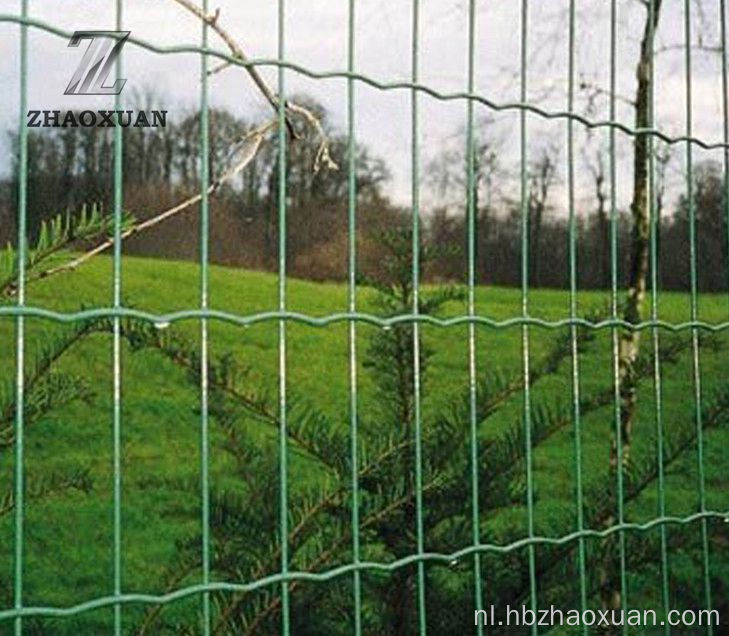 PVC gecoate Holland Wire Mesh LaDed Euro hek