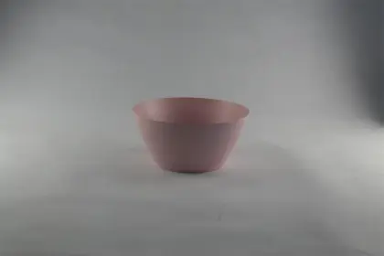 Daily use usual meal bowl
