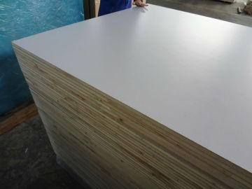 Textured White PVC / Acrylic Painted Block Board for RV Market, Polyester Blockboard