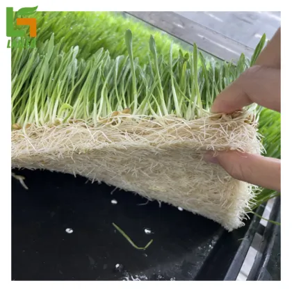 High Farming Container Forage Grass and Pasture Containers