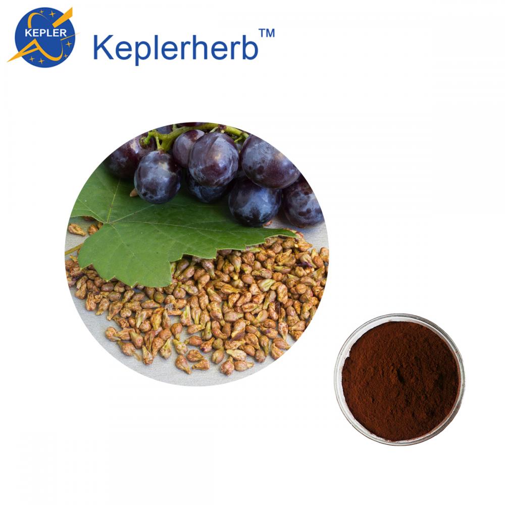 USP Standard Grape Seed Extract Powder