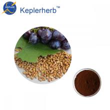 USP standard Grape Seed Extract Powder