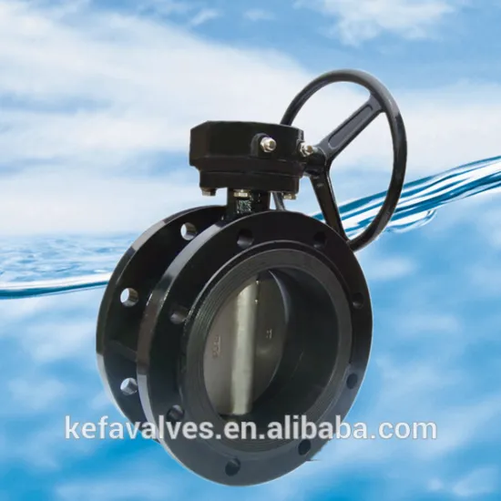 Butterfly Valve double flanged type