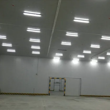 Quick freezing cold storage​