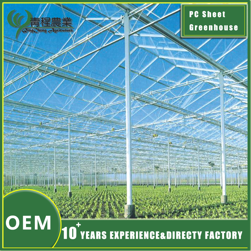 Durable Polycarbonate Greenhouse With Shade