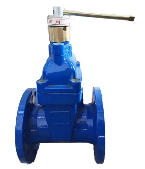 Magnetic Encrypted Security Gate Valve