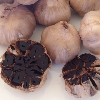 The black garlic The black garlic