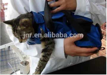 CAT CHECKING BAG
