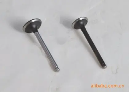 Brand HL Shanghai Diesel Engine C6121 Inlet and Exhaust Valve Seal