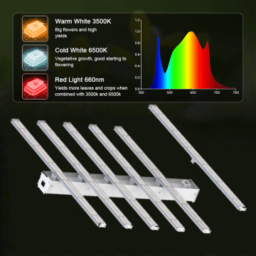 Japon Spectrum complet 600 LED Grow Light