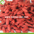 Fabriek Groothandel Super Food Nutrition Zhongning Goji Berry