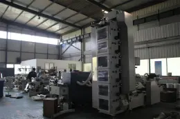 Flexo Graphic Printing Machine