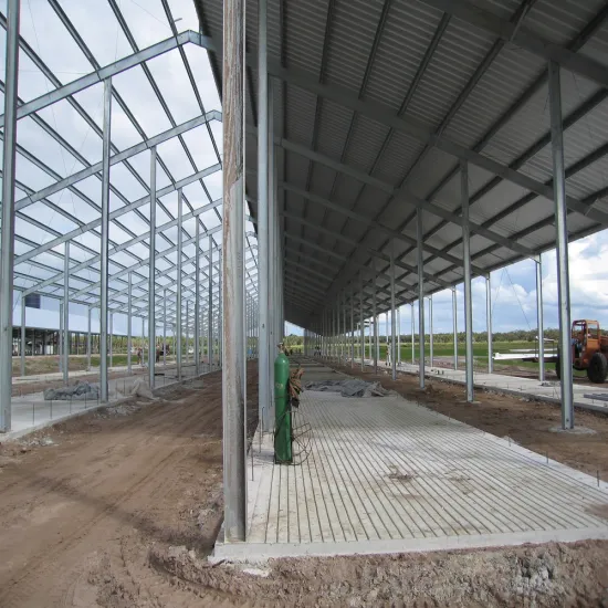 Prefabricated steel structure dairy farm shedfor cow