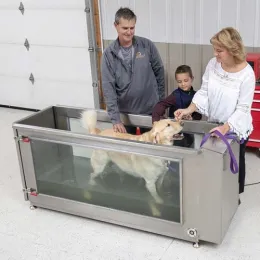Popular Stainless Steel Underwater treadmill for dogs hydrotherapy and rehab