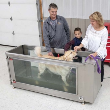 Popular Stainless Steel Underwater treadmill for dogs hydrotherapy and rehab