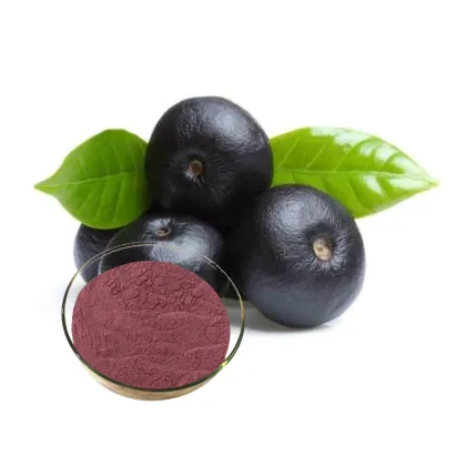 Acai Berry Extract Powder