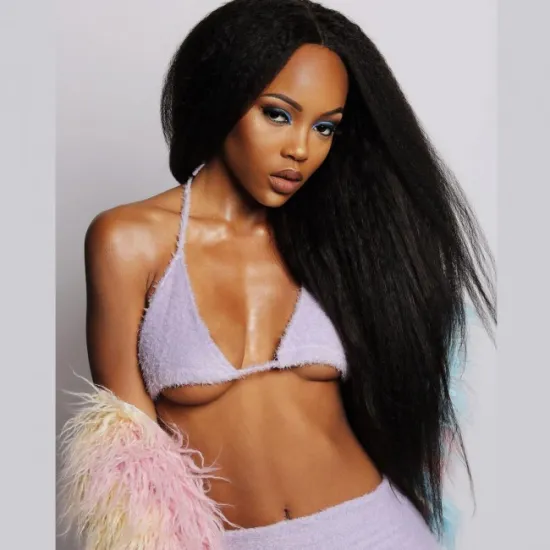 Cuticle Aligned Wholesale Brazilian 100% Human Swiss HD Transparent Pre- plucked Lace Front Virgin Hair Wigs for Black Women