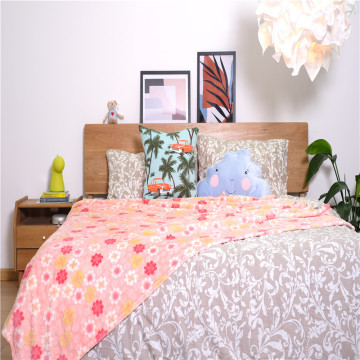 Girls Lovely Short Plush Coral Fleece Bedroom Blankets