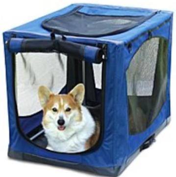 dog tent